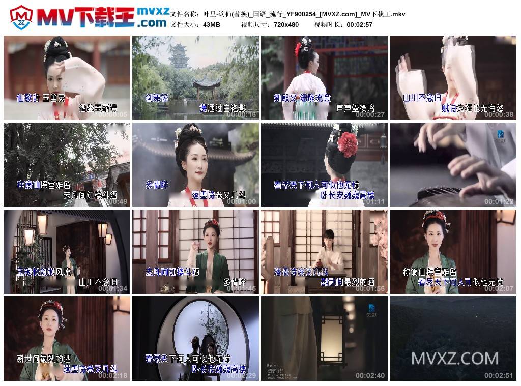 叶里-谪仙(替换)_国语_流行_YF900254